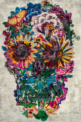 BOHEMIA Rug Collection